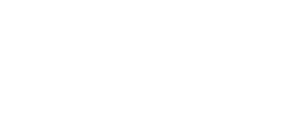 Shan A. B. Intl